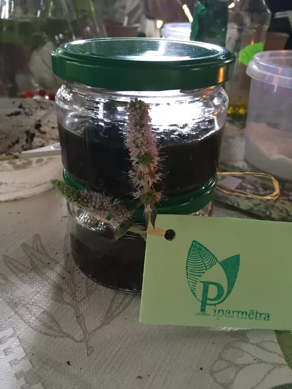 KAUT KAS ĶERMEŅA PALUTINĀŠANAI