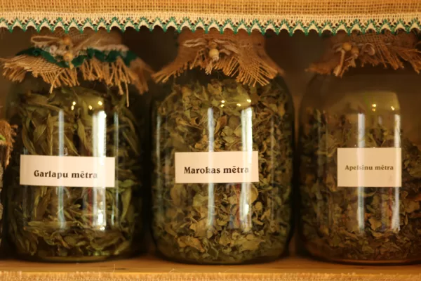 DAŽĀDAS MĒTRAS DEGUSTĀCIJAI